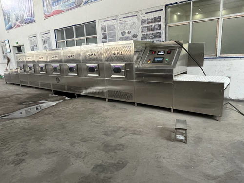 微波技术在盒饭加工中的应用 回温杀菌与干燥设备解析