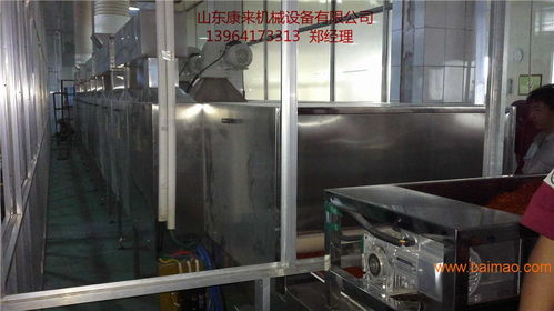 粉状食品微波烘干杀菌设备 技术优势、生产厂家与价格解析