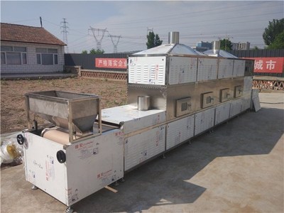 微波干燥设备 高效节能的中药材干燥新选择