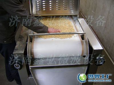 微波烘干杀菌设备在大连的供应优势与鑫弘微波的专业解决方案